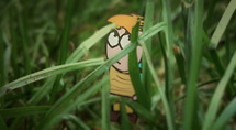 Little Howard Series 3 - Why Cant I Be Bigger? Little Howard Series 3